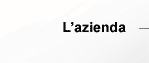 L'AZIENDA
